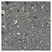 Cersanit Porculanska pločica Brand Rock  (59,8 x 59,8 cm, Grafit, Mat) | BAUHAUS