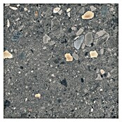 Cersanit Porculanska pločica Brand Rock  (59,8 x 59,8 cm, Grafit, Mat) | BAUHAUS