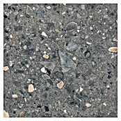 Cersanit Porculanska pločica Brand Rock  (59,8 x 59,8 cm, Grafit, Mat) | BAUHAUS