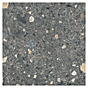 Cersanit Porculanska pločica Brand Rock  (59,8 x 59,8 cm, Grafit, Mat) | BAUHAUS