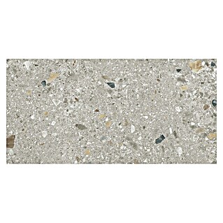 Cersanit Talne ploščice Brand Rock (119,8 x 59,8 cm, Svetlo siva, Mat)