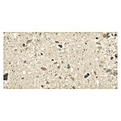 Cersanit Porculanska pločica Brand Rock  (119,8 x 59,8 cm, Krem, Mat) | BAUHAUS