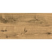 Cersanit Talne ploščice Infinity Wood  (29,8 x 59,8 cm, Bronze, Mat) | Kamnite ploščice | Talne ploščice | Ploščice | Izdelki | BAUHAUS