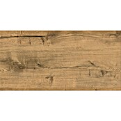 Cersanit Talne ploščice Infinity Wood  (29,8 x 59,8 cm, Bronze, Mat) | Kamnite ploščice | Talne ploščice | Ploščice | Izdelki | BAUHAUS