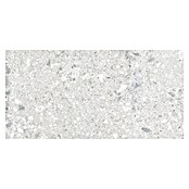 Cersanit Porculanska pločica Terrino  (119,8 x 59,8 cm, Svijetlo siva, Mat) | BAUHAUS