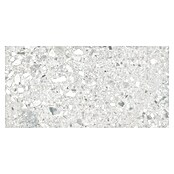 Cersanit Porculanska pločica Terrino  (119,8 x 59,8 cm, Svijetlo siva, Mat) | BAUHAUS
