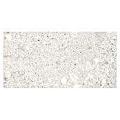 Cersanit Porculanska pločica Terrino  (119,8 x 59,8 cm, Krem, Mat) | BAUHAUS