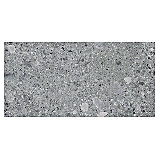 Cersanit Granitogresne ploščice Terrino (119,8 x 59,8 cm, Siva, Mat)