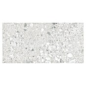 Cersanit Porculanska pločica Terrino  (119,8 x 59,8 cm, Svijetlo siva, Mat) | BAUHAUS