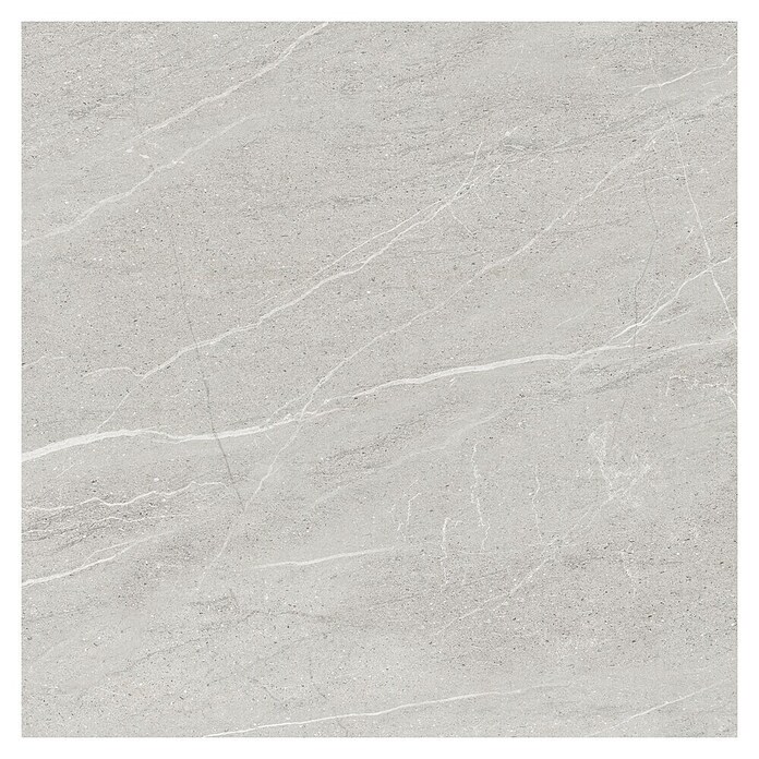 Cersanit Porculanska pločica Noisy Grey  (79,8 x 79,8 cm, Siva, Mat) | BAUHAUS