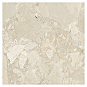 Cersanit Porculanska pločica Liv Laureto  (59,8 x 59,8 cm, Krem, Mat) | BAUHAUS
