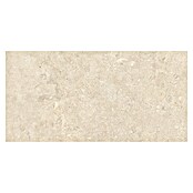 Cersanit Porculanska pločica Dueville  (59,8 x 119,8 cm, Svijetlo bež, Mat) | BAUHAUS