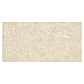 Cersanit Porculanska pločica Dueville  (59,8 x 119,8 cm, Svijetlo bež, Mat) | BAUHAUS