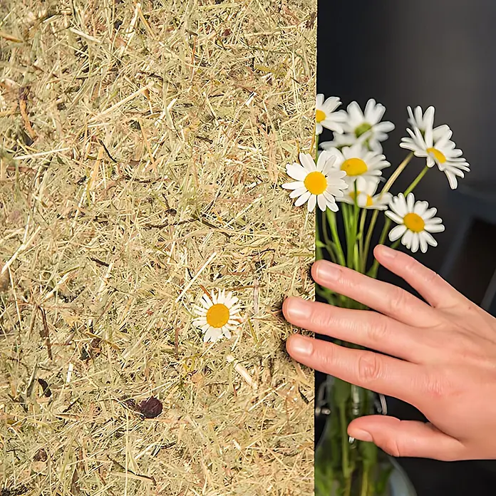 Wallface Wandpaneel AL-11004 ALPINE WHITE DAISY selbstklebend Almwiesen-Dekor 4 m2 - 3.050 x 1.360 mm - Textur von trockenem Heu mit einer Margerite, eine Hand greift nach einem Margeritenstrauß.