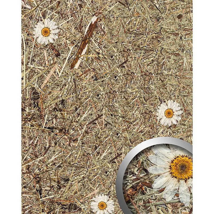 Wallface Wandpaneel AL-11004 ALPINE WHITE DAISY selbstklebend Almwiesen-Dekor 4 m2 - 3.050 x 1.360 mm - Textur aus getrocknetem Heu und Stroh mit verstreuten weißen Gänseblümchen, eines vergrößert.