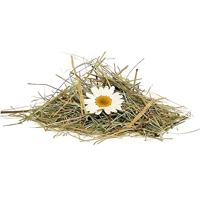 Wallface Wandpaneel AL-11004 ALPINE WHITE DAISY selbstklebend Almwiesen-Dekor 4 m2 - 3.050 x 1.360 mm - Heuhaufen mit einer weißen Gänseblümchenblüte.