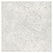 Cersanit Porculanska pločica Stone Paradise  (59,8 x 59,8 cm, Svijetlo siva, Mat) | BAUHAUS