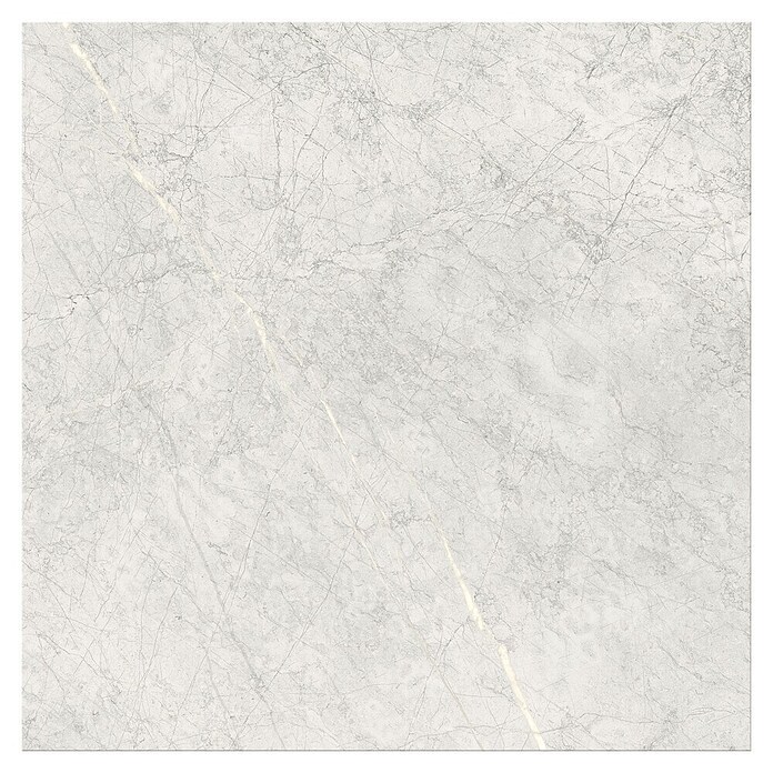 Cersanit Porculanska pločica Stone Paradise  (59,8 x 59,8 cm, Svijetlo siva, Mat) | BAUHAUS