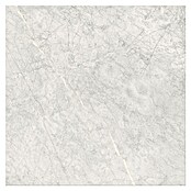 Cersanit Porculanska pločica Stone Paradise  (59,8 x 59,8 cm, Svijetlo siva, Mat) | BAUHAUS