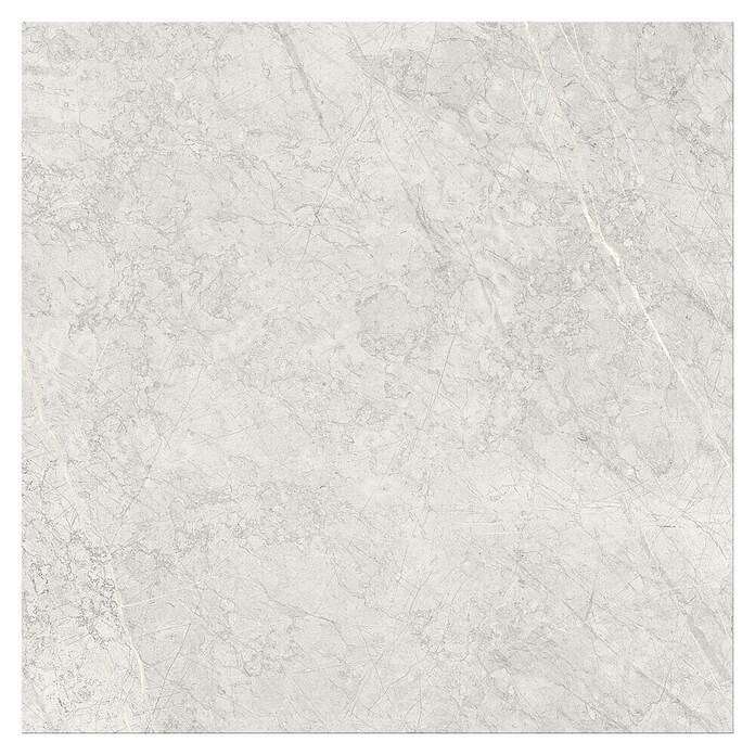 Cersanit Porculanska pločica Stone Paradise  (59,8 x 59,8 cm, Svijetlo siva, Mat) | BAUHAUS