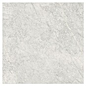 Cersanit Porculanska pločica Stone Paradise  (59,8 x 59,8 cm, Svijetlo siva, Mat) | BAUHAUS