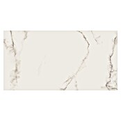 Cersanit Zidna pločica Carrara Premium  (60 x 120 cm, Bijela, Polirano) | BAUHAUS
