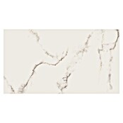 Cersanit Zidna pločica Carrara Premium  (60 x 120 cm, Bijela, Polirano) | BAUHAUS