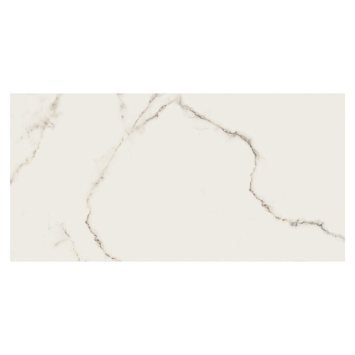 Cersanit Zidna pločica Carrara Premium  (60 x 120 cm, Bijela, Polirano) | BAUHAUS