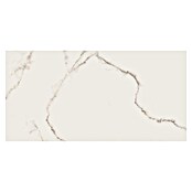 Cersanit Zidna pločica Carrara Premium  (60 x 120 cm, Bijela, Polirano) | BAUHAUS