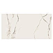 Cersanit Zidna pločica Carrara Premium  (60 x 120 cm, Bijela, Polirano) | BAUHAUS