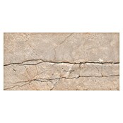 Cersanit Porculanska pločica Piove Grey Polished  (60 x 120 cm, Siva, Sjaj) | BAUHAUS