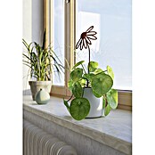 Dekoelement (Blume 2, 95 x 400 mm, Metall, Rostbraun) | BAUHAUS