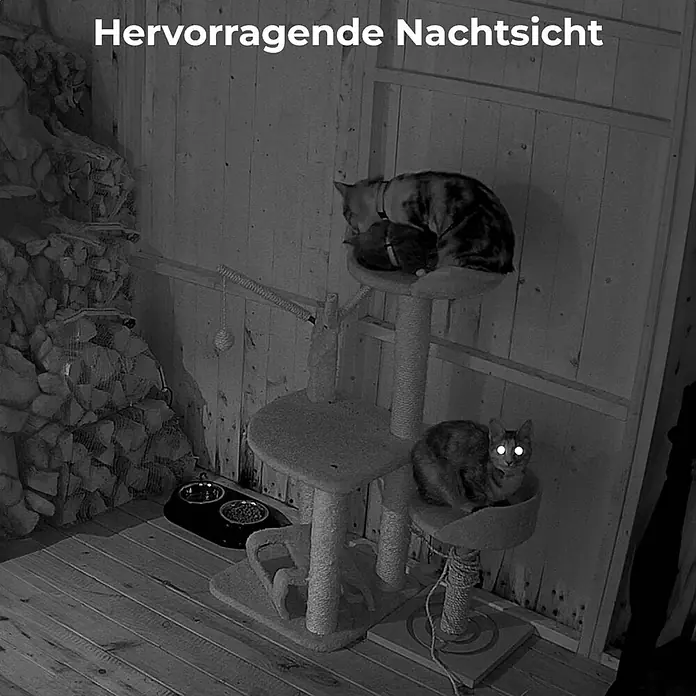 Reolink Überwachungskamera E330 5 MP WLAN -  - Hervorragende Nachtsichtaufnahme von Katzen auf einem Kratzbaum in einem Raum, die klare Sicht im Dunkeln zeigt.