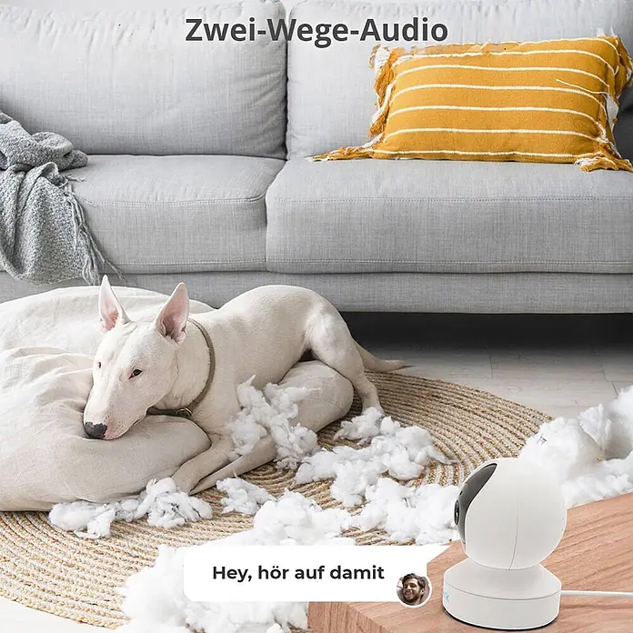 Reolink Überwachungskamera E330 5 MP WLAN -  - Weiße Überwachungskamera mit Zwei-Wege-Audio, um mit einem Hund zu sprechen, der Unordnung macht.