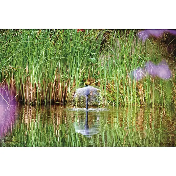 Oase Wasserspielpumpe Aquarius Set 4000 E - 42 W, Fördermenge pro Std.: 4.000 l - Ein Springbrunnenaufsatz erzeugt eine klare, kuppelförmige Wasserblase in einem Teich umgeben von hohem Grün.
