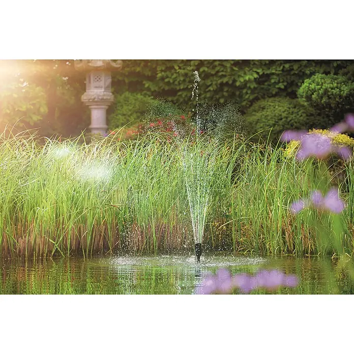 Oase Wasserspielpumpe Aquarius Set 4000 E - 42 W, Fördermenge pro Std.: 4.000 l - Kleiner schwarzer Springbrunnen sprüht Wasser in einem Gartenteich, umgeben von hohem grünen Schilf.