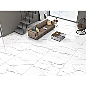 Feinsteinzeugfliese Calcutta Azario (120 x 60 cm, Weiß, Glänzend) | BAUHAUS