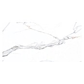 Feinsteinzeugfliese Calcutta Azario (120 x 60 cm, Weiß, Glänzend) | BAUHAUS