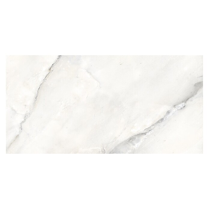 Feinsteinzeugfliese Statuario Grey (120 x 60 cm, Graubeige, Glänzend) | BAUHAUS