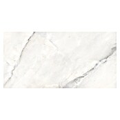 Feinsteinzeugfliese Statuario Grey (120 x 60 cm, Graubeige, Glänzend) | BAUHAUS