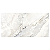 Feinsteinzeugfliese Statuario Grey (120 x 60 cm, Graubeige, Glänzend) | BAUHAUS