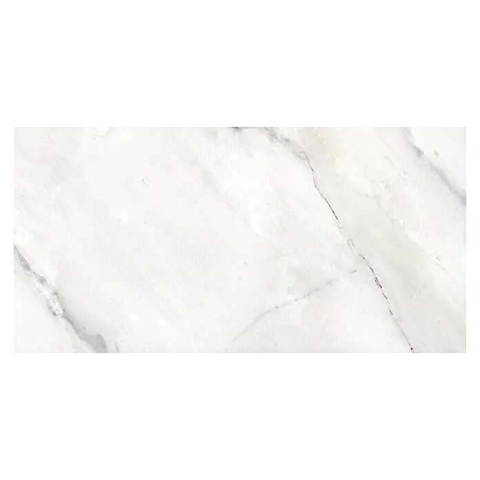 Feinsteinzeugfliese Statuario Grey (120 x 60 cm, Graubeige, Glänzend) | BAUHAUS