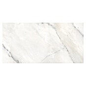 Feinsteinzeugfliese Statuario Grey (120 x 60 cm, Graubeige, Glänzend) | BAUHAUS