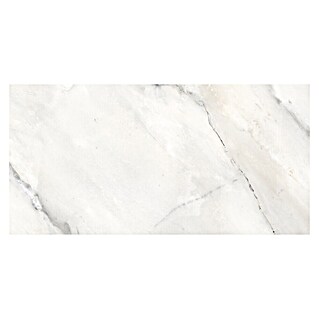 Feinsteinzeugfliese Statuario Grey (120 x 60 cm, Graubeige, Glänzend)