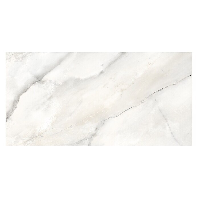 Feinsteinzeugfliese Statuario Grey (120 x 60 cm, Graubeige, Glänzend) | BAUHAUS