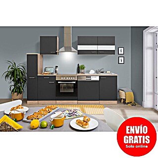 Respekta Cocina compacta Merle (Ancho: 250 cm, Gris, Con electrodomésticos, Volumen horno: 72 l)