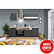 Respekta Composición de cocina (Ancho: 220 cm, Con dispositivos eléctricos, Gris)