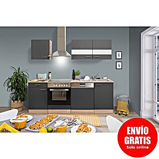 Respekta Cocina compacta Merle (Ancho: 220 cm, Gris, Con electrodomésticos, Volumen horno: 72 l)
