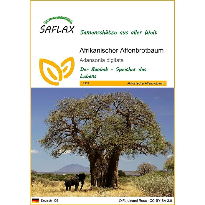 Saflax Blumensamen - Adansonia digitata - SAFLAX Afrikanischer Affenbrotbaum Samenetikett: ein großer Baobab-Baum mit einem Elefanten in einer Savanne.