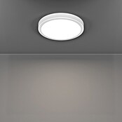 Eglo connect.z Okrogel LED panel Fueva 6-Z  (Ø x V: 28 x 2,5 cm, Barva ohišja: Bela, Barva svetlobe: RGBW) | Pametne stropne svetilke | Pametna stropna svetila | Smart Home svetila | Smart Home razsvetljava | Smart Home | Elektro in svetila | Izdelki | BAUHAUS